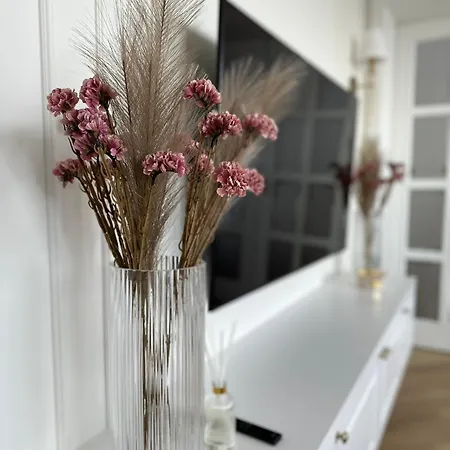 Premium Sobieskiego アパート *